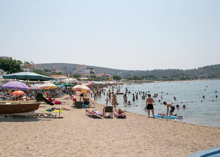 アパート Elvetia *